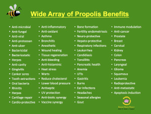 Propolis Benefits Chart_mjk_RHP_2015
